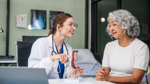 Caucasian woman sits at a desk, kidney model, gallstones, glomerulonephritis, acute and chronic kidney disease, infectious diseases, abnormal ureters, cysts, and urinary system cancer.