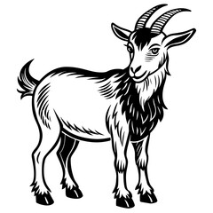 alpine-goat-vector 