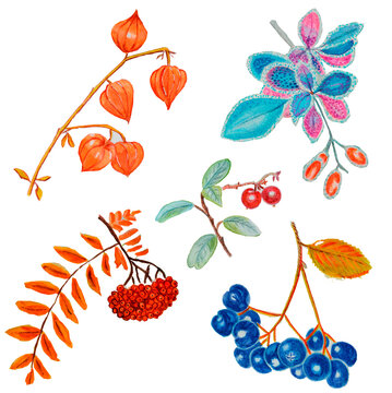 set of autumn berries1