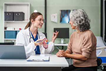 Obraz premium Caucasian woman and elderly Asian woman discuss kidney model issues like gallstones, glomerulonephritis, acute/chronic kidney disease, infections, abnormal ureters, cysts, urinary system cancer.