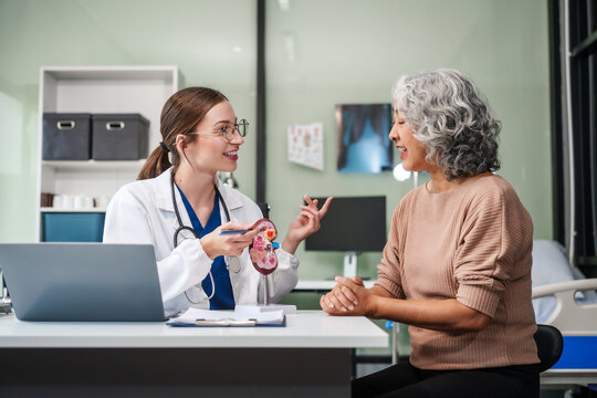 Caucasian woman and elderly Asian woman discuss kidney model issues like gallstones, glomerulonephritis, acute/chronic kidney disease, infections, abnormal ureters, cysts, urinary system cancer.