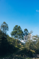 Wooden hotel in Carpathian mountains. Location: Zakarpattya region, Ukraine