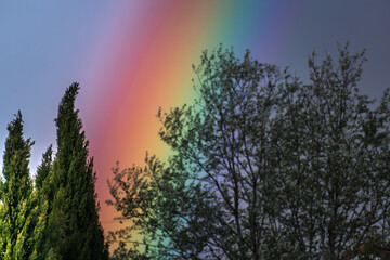Fototapeta premium Rainbow on a spring day thanks to the rain and the sun