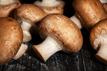 brown mushroom on black wood background - 801204795