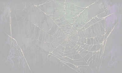 Abstract fantasy. White spider web on a light gray background. - obrazy, fototapety, plakaty