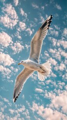 AI-generated illustration of a seagull in flight with wings spread against a blue sky - obrazy, fototapety, plakaty