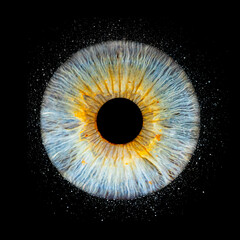 Close up of eye iris on black background, macro, photography