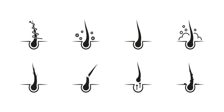 Treatment and problems with hair. A set of hair icons. Hair loss, sectioning, strengthening, nutrition and various hair care.