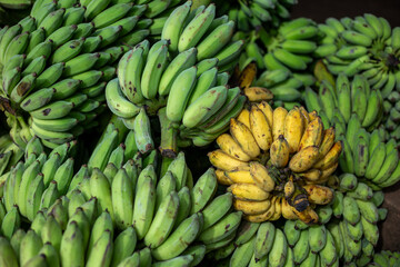 Selective focus. Lots of bananas piled up in the banana market. There are ripe yellow bananas