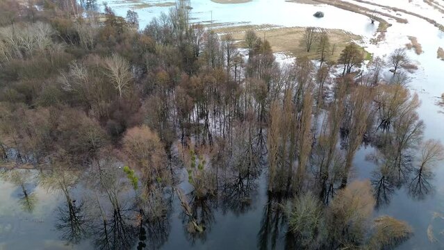 Floodwaters of the Widawa River, Lower Silesia, Poland.