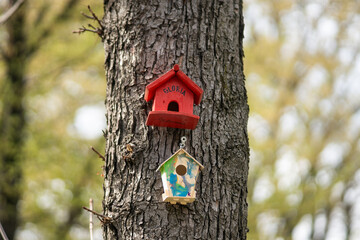 birdhouse on tree