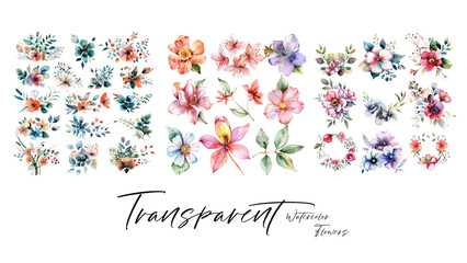 A collection of beautiful and elegant watercolor flowers suitable for wedding invitations and decoration elements