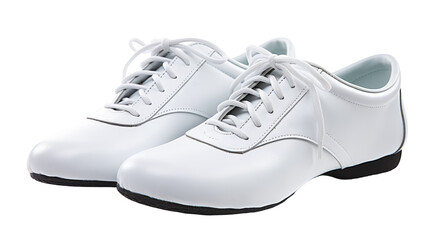 the Martial Arts Shoes on Tranparant background