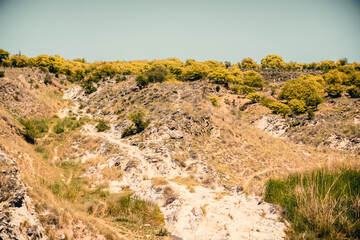 Naklejka premium Beautiful Landscape