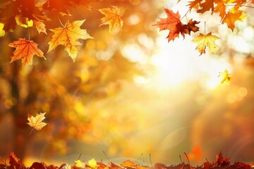 Golden Autumn Leaves in Sunlight