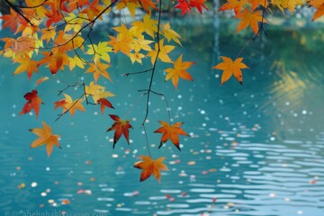 A leafy tree branch with orange leaves is above a body of water