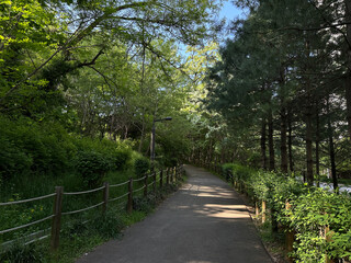 공원 산책로