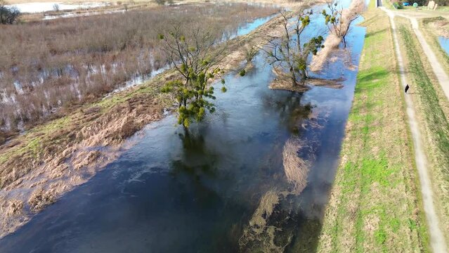 Floodwaters of the Widawa River, Lower Silesia, Poland.