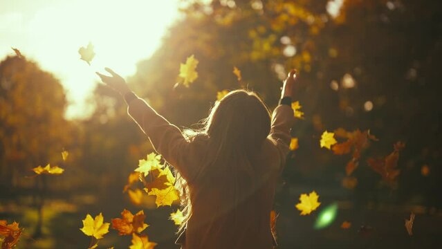 Young woman having positive good mood throwing fallen maple leaves in air in sunny autumn weather in park, back view. Outdoors recreation entertainment in fall season, woman leaves, freedom concept.