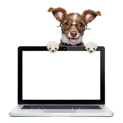 A dog with perky ears peeking out from behind a laptop computer, with a blank screen
