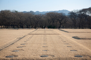 View of the footpath to the forest