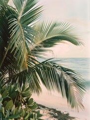 retro filter colour stylish scheme summertime accent colour close up photograph of tropical plants variety of tree leaf and tropical flower background