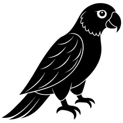           Simple Parrot silhouette vector illustration.
