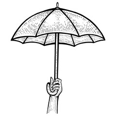 Umbrella in hand sketch engraving PNG illustration. Scratch board style imitation. Black and white hand drawn image. © Oleksandr Pokusai