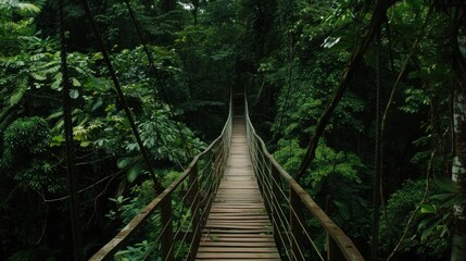 Wooden bridge across the forest with foliage around