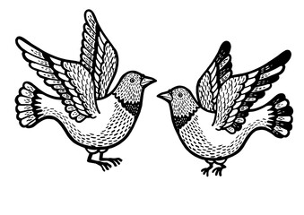 Dove pigeon birds tattoo sketch engraving PNG illustration. Scratch board style imitation. Hand drawn image.