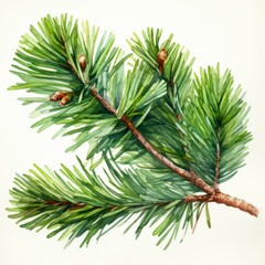 A watercolor painting of a pine branch