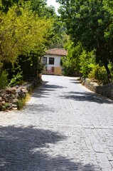 old house in the park