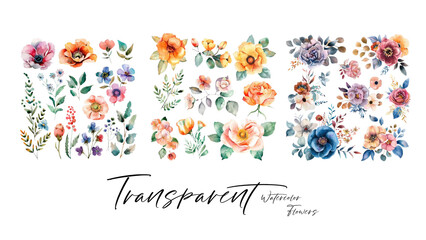 A collection of beautiful and elegant watercolor flowers suitable for wedding invitations and decoration elements