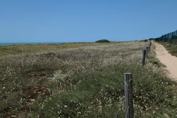Bois Joly, St. Jean de Monts