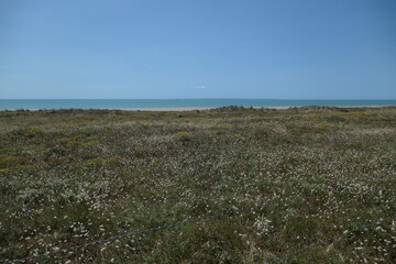 Plage des Oiseaux, St. Jean de Monts