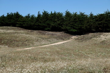 Bois Joly, St. Jean de Monts