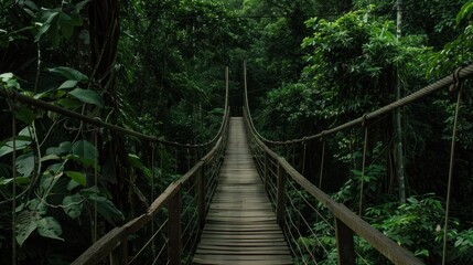 Wooden bridge across the forest with foliage around