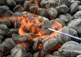 Marshmallows beginning to burn over charcoal on a fire