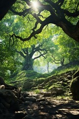 Obraz premium The Glimmering Path in the Verdant Woods