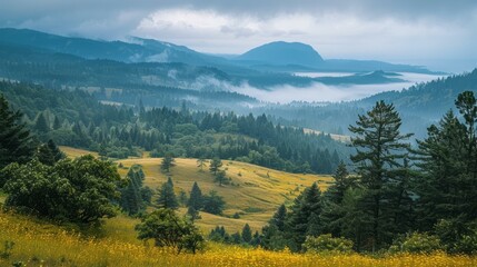Fototapeta premium Foggy Mountains and Trees Landscape