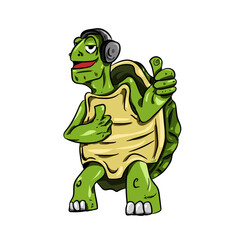 turtle headphone