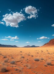 A vast desert landscape with mountains in the distance