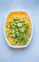 Mac and cheese, american style macaroni pasta with cheesy sauce and broccoli. frozen food