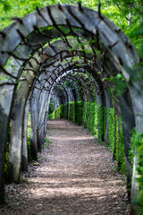 Jardins de Marqueyssac