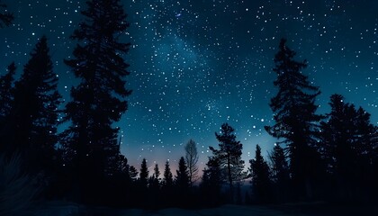Starry sky above the dark forest