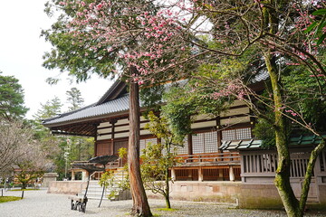 Oyama-jinja or Shrine in Kanazawa, Ishikawa, Japan - 日本 石川 金沢 尾山神社