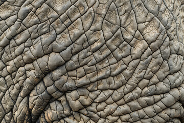 Fototapeta premium Generative ai on theme of beautiful texture elephant skin for design natural abstract background