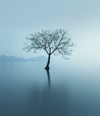 A Tree in the Middle of a Body of Water