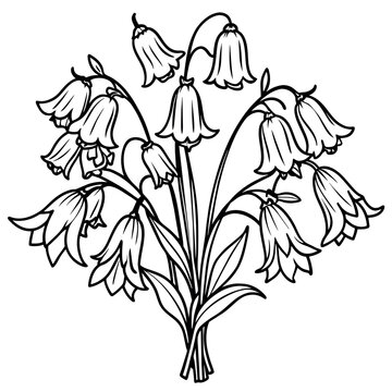 recommend clip art: Bluebell Flower Bouquet outline illustration coloring book page design, Bluebell Flower Bouquet black and white line art drawing coloring book pages for children and adults
                    