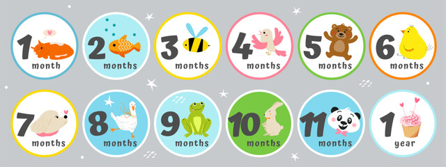 Vector cute baby stickers with month of age, animals, birds, sweets. 